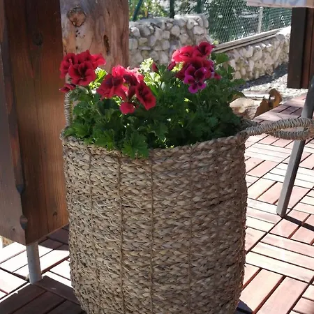 Holiday home Krkonose Cerny Dul