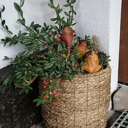Casa de Férias Krkonose Černý Dŭl